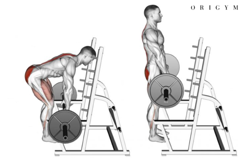 Positioning Patients – georgiaemsacademy.com