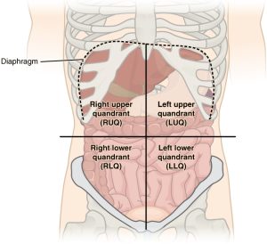 Urq Abdominal Injuries – georgiaemsacademy.com