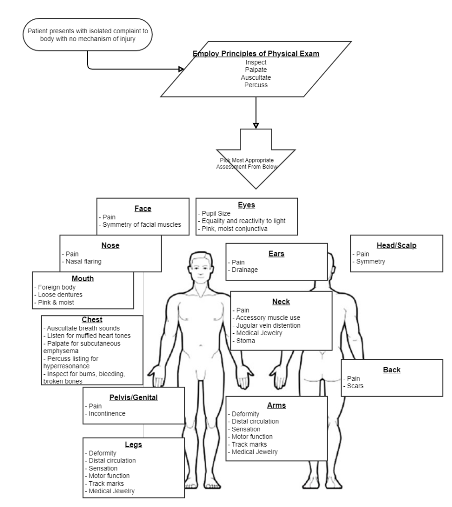 Positioning Patients – georgiaemsacademy.com